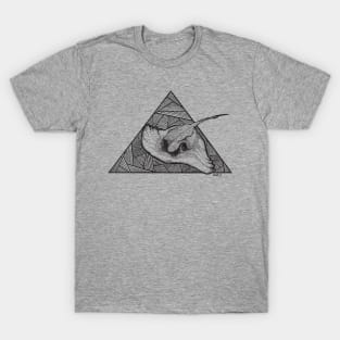 Ray the Stingray T-Shirt